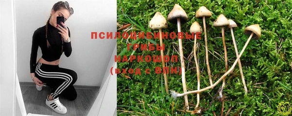 PSILOCYBIN Баксан